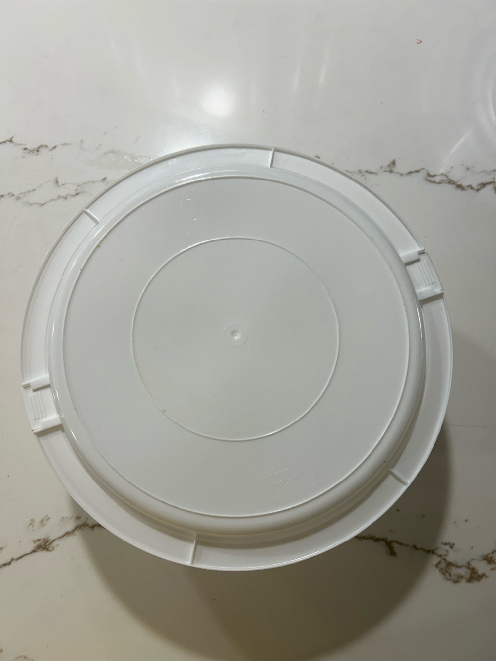 Clear Reusable Cake Container - Picture 4 of 4